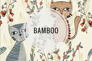 Bamboo lycra