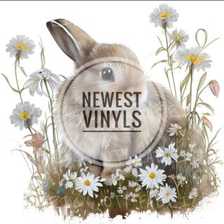 Newest Vinyls