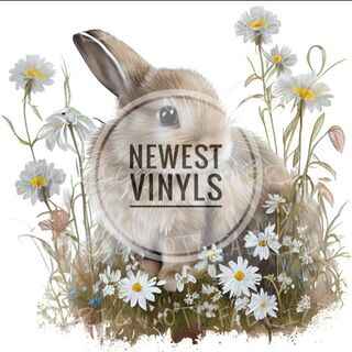 Newest vinyls
