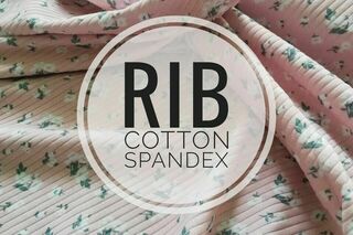 Rib
