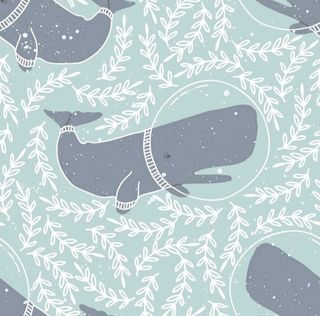 Winter whales