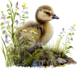 Floral duckling
