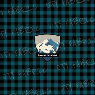 Aoraki Mt Cook panel FT