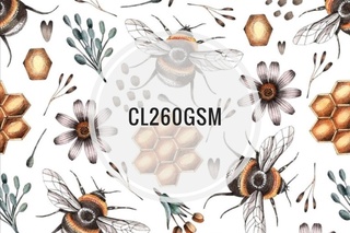 Cotton Lycra 260gsm - PRINTS