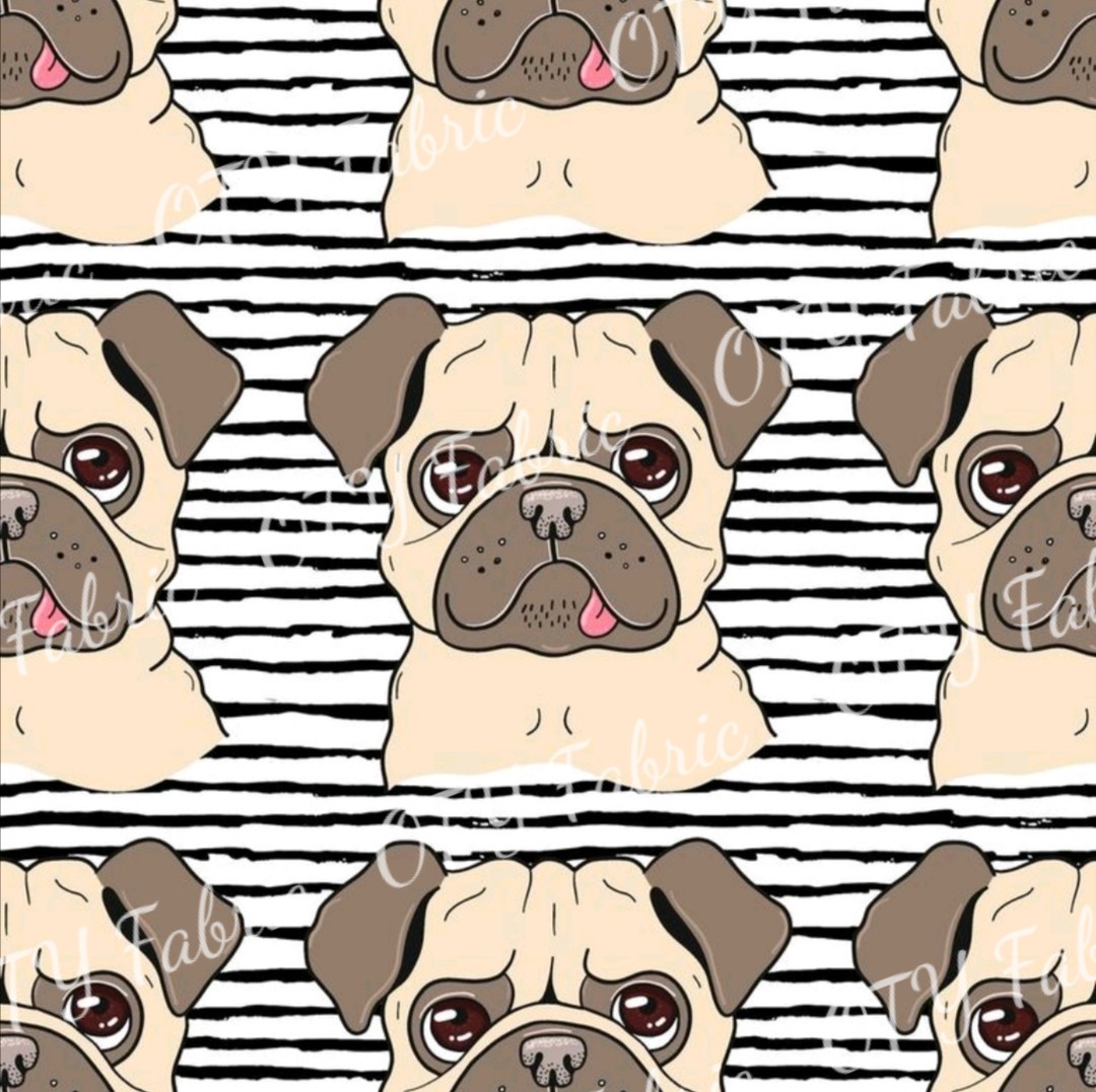 Hipster pugs