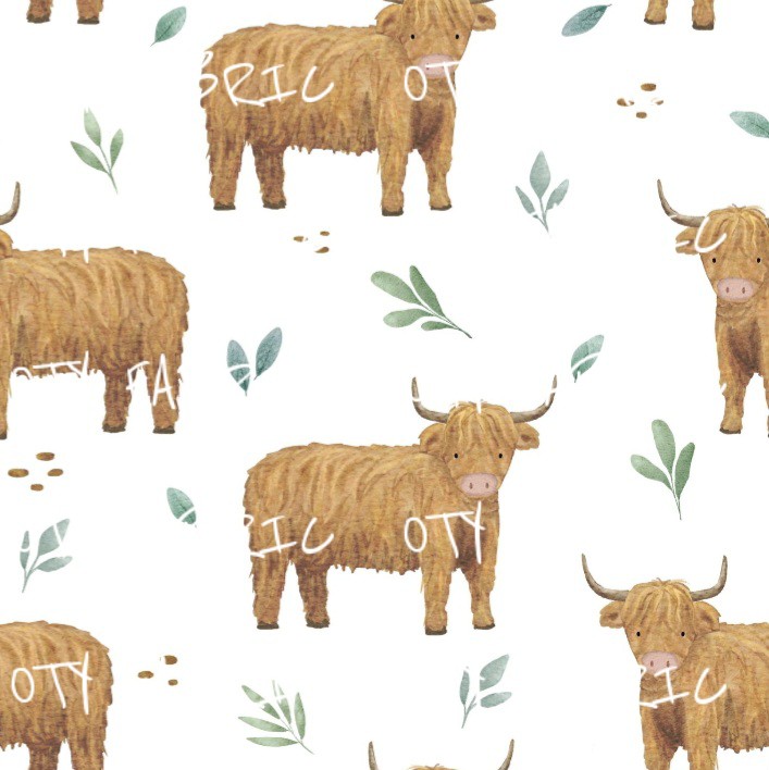 Highland cows Neutral