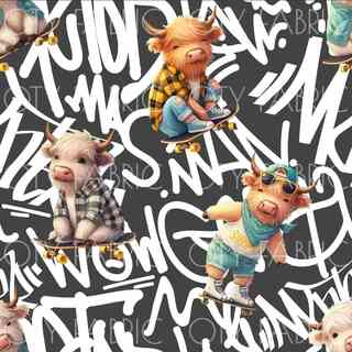 Skater highland on grey graffiti RC
