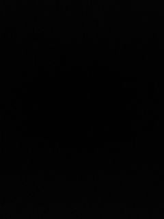 Black cotton poplin