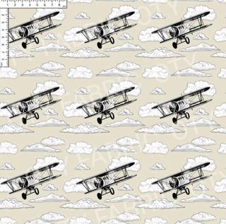 Vintage planes