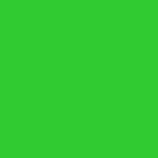 Lime green brushed french terry