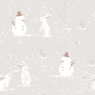 Winter rabbits