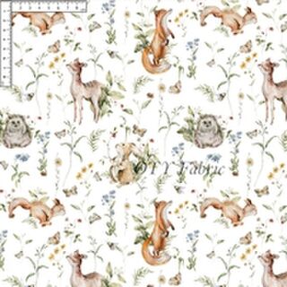 Spring Woodland on white