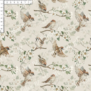 Sparrows
