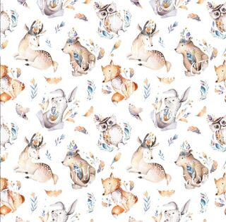 Woodland creatures on white