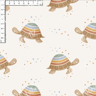 Boho turtles RC