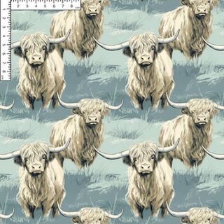 Neutral highlands RC