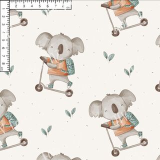 Kool koala RC