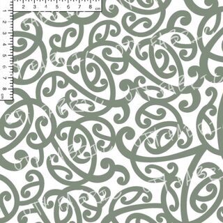 Sage Koru RC