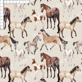 Horses RC